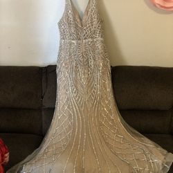 Cinderella Divine Size 14 Only Used Once