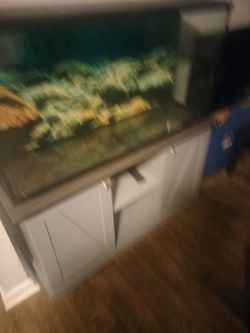 Aquarium