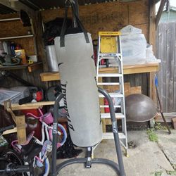 Everest Punching Bag 