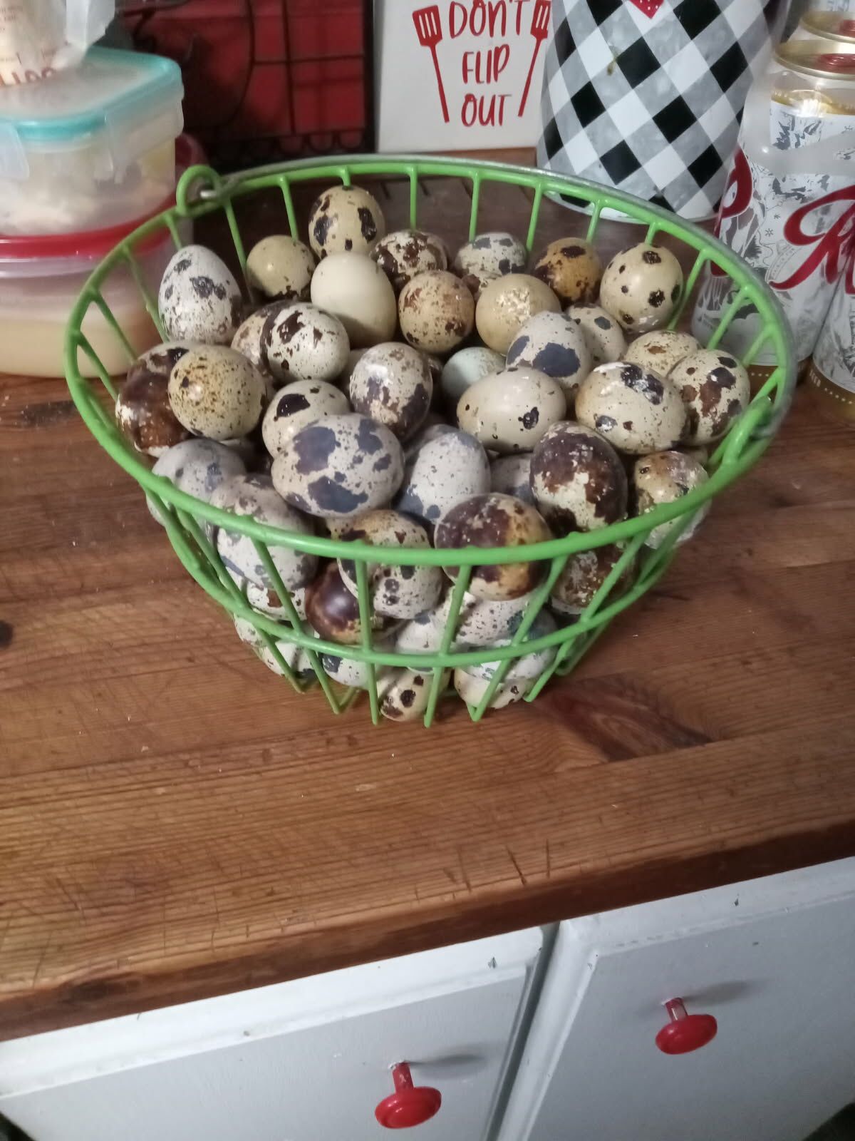 Jumbo Quail Eggs
