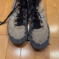 Wrestling Shoes