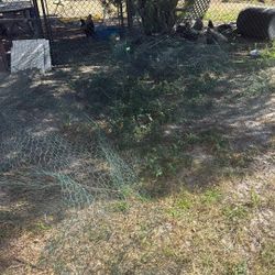 Huge Amount Of Chicken Wire