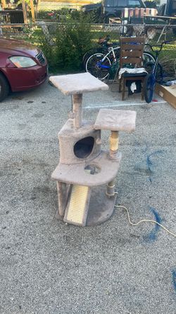 cat tree