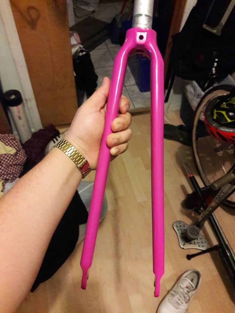 Carbon Bladed Fork