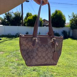 Bolso coach