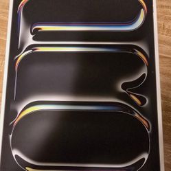 iPad Pro 13inch M4 
