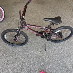Bike Friendswood Pick Up