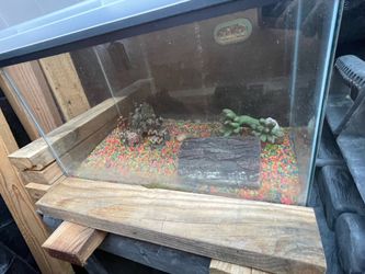 10g reptile
