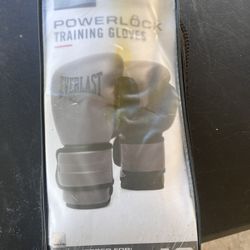 Ever-last Boxing Gloves