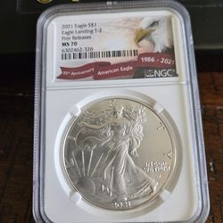 2021 Type 2 Silver Eagle 