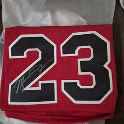 Toon Squad signed Michael Jordan jersey