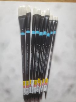 Aspen Princeton Brushes $270.00 Dollar Value For $120.00 !!!!!