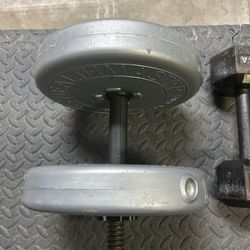 1 X 30lb Dumbbell & Pull-up Bar