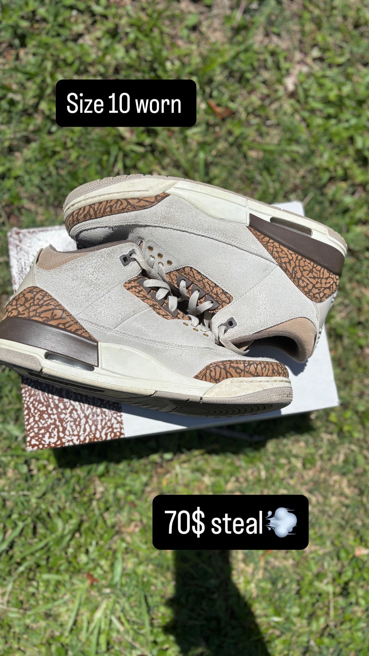 Jordan 3 Palomino