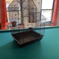 Bird Cage