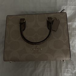 Coach Bag  (new)