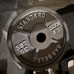Weights 
