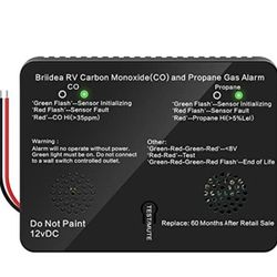 RV carbon monoxide & propane gas Alarm 