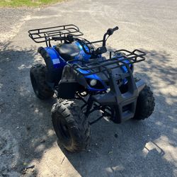 Kids 125cc Quad Atv 4 Wheeler 