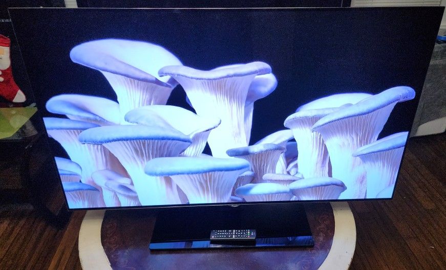 55" 4k HDR OLED Smart 3D TV 2015