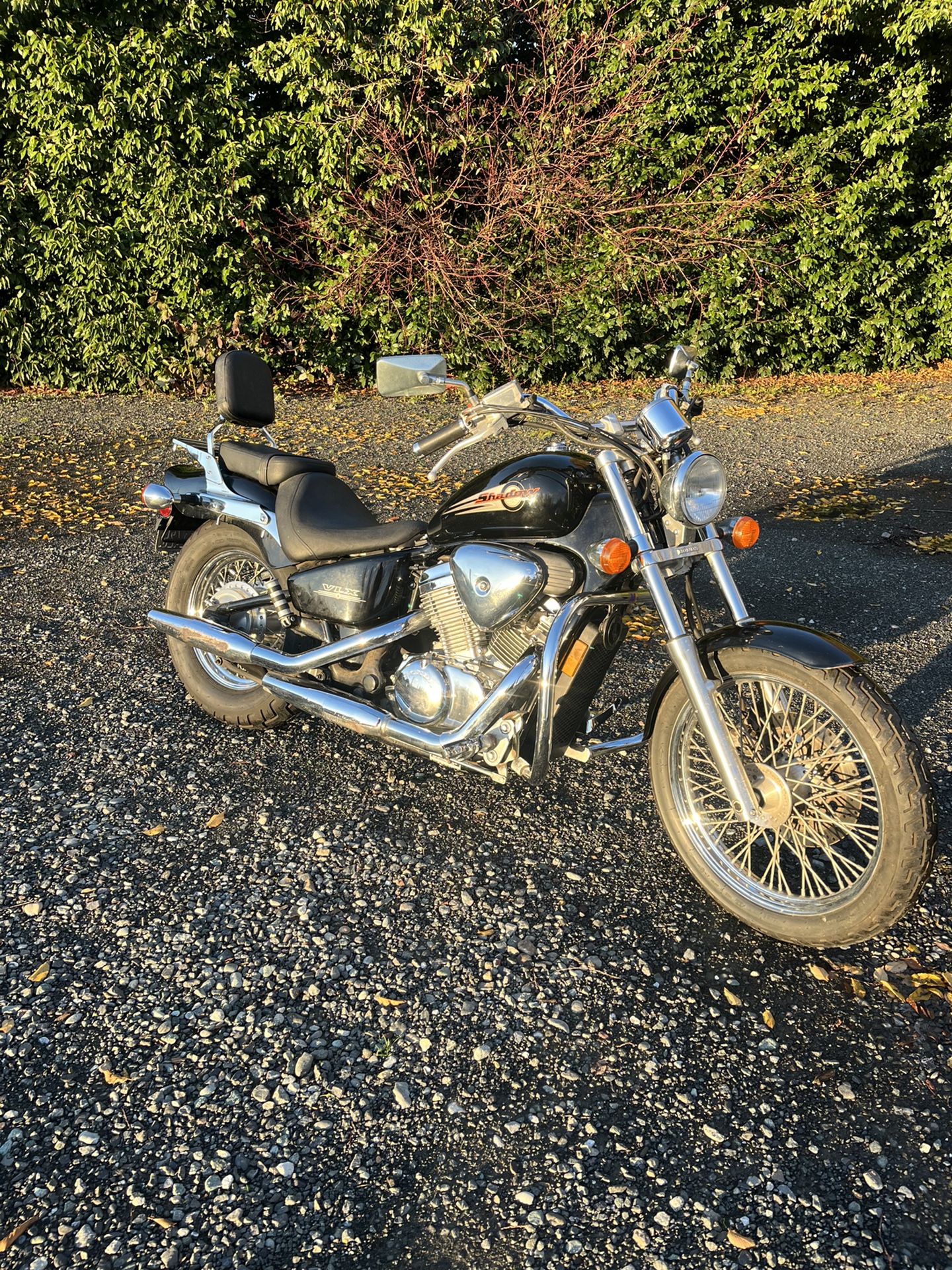 1999 Honda Shadow VT600 CD for Sale in Bellingham, WA - OfferUp