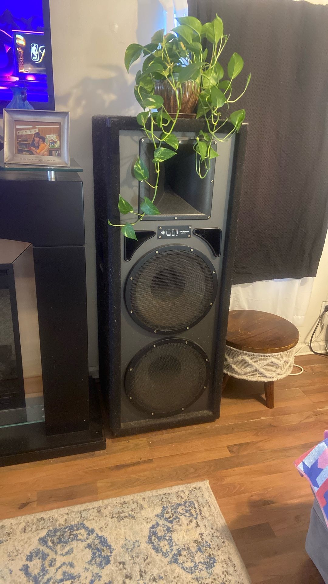 2 Pro Studio 4 feet speakers