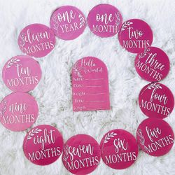 Baby Girl Monthly Milestone Acrylic 