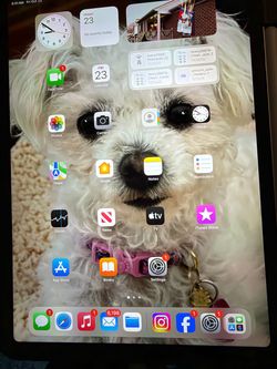 iPad Pro 11 inch 256 gb with covers and pencil