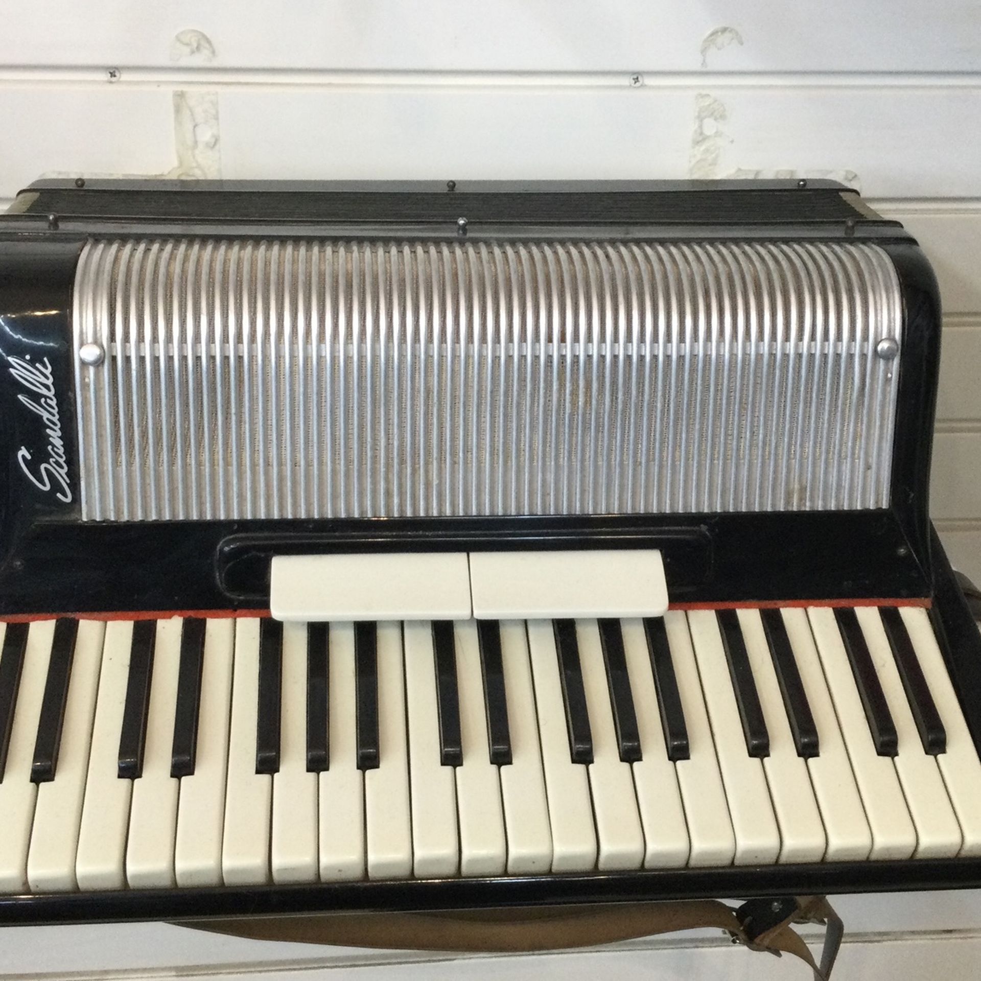 Scandal Accordion