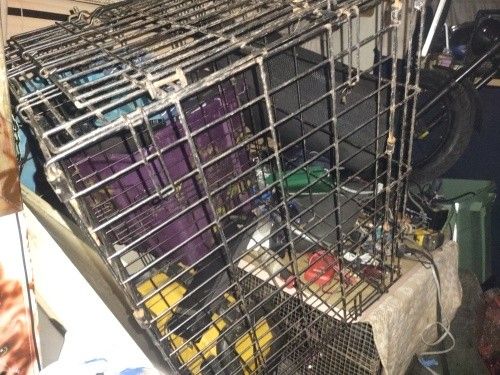 Puppy Crate