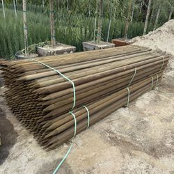 Round Tree Stakes 10 Feet By 2 Inches 