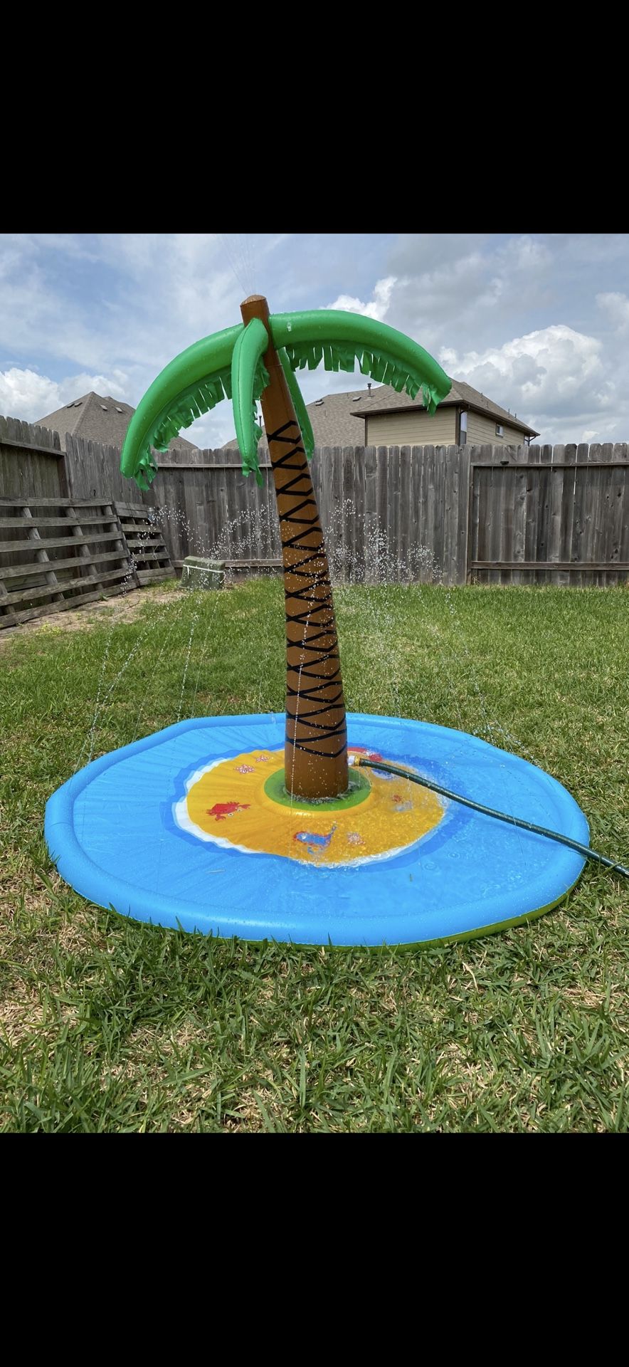 Coconut Tree Water Pool