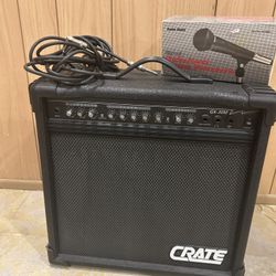 Amplifier and microphone