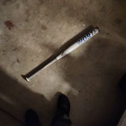 Composite Bat