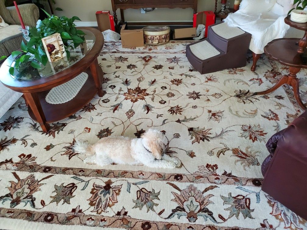 Hand Tuffed Wool Rug