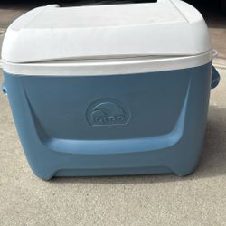 Igloo Cooler 