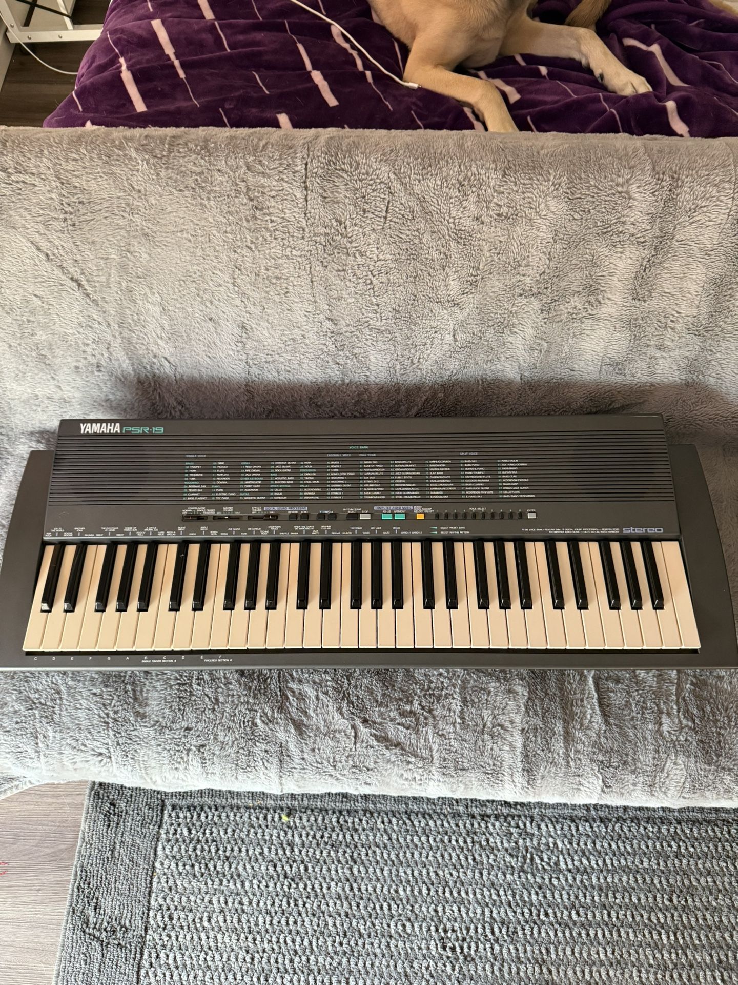 Yamha Electric Piano Keyboard PSR-19