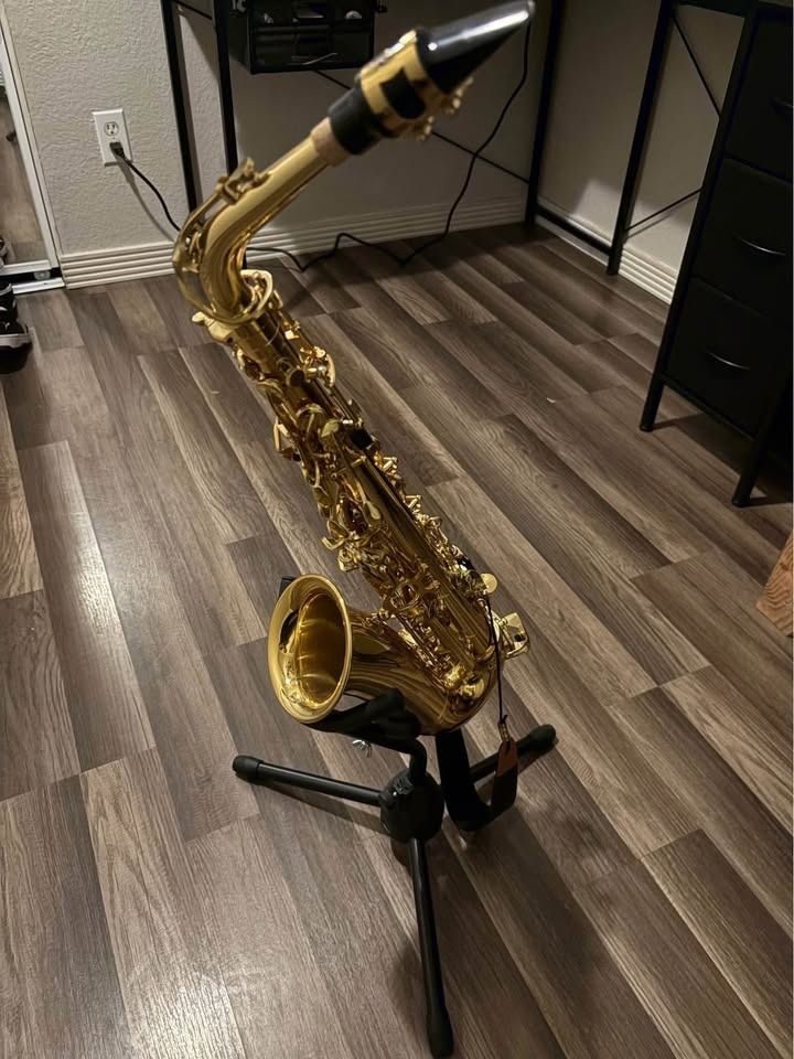 Eastar AS-Ⅱ Student Alto Saxophone E Flat Gold Lacquer Alto Beginner Saxophone Full Kit