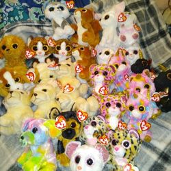 ❤️❤️ TY BEANIE BOOS❤️❤️