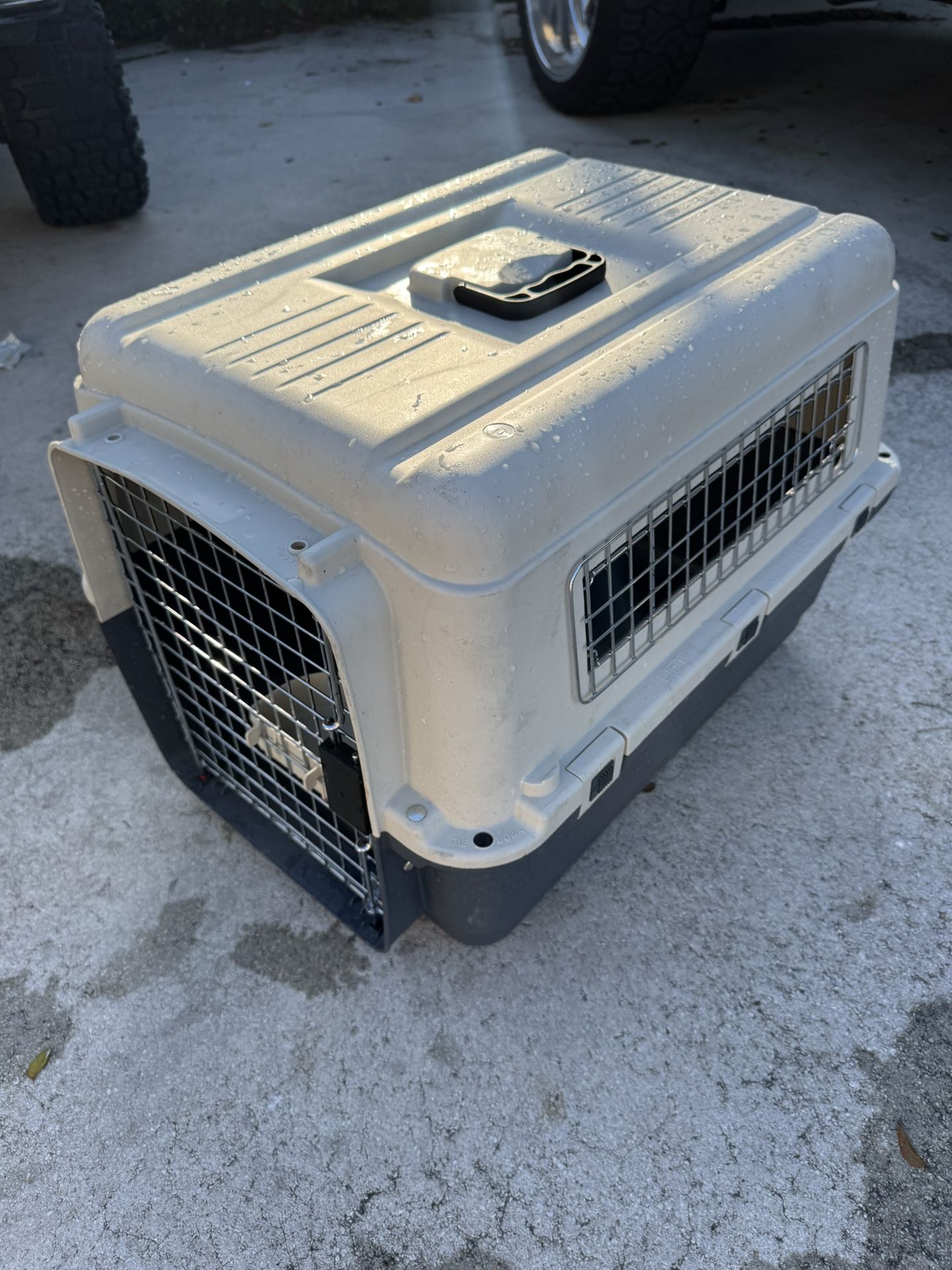 Medium Size Travel Crate
