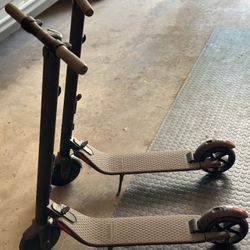 Segway Ninebot Scooters