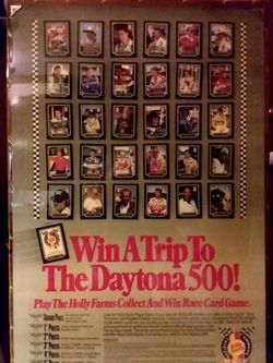 Holly Farms Win Trip To The Daytona 500 Mounted Poster