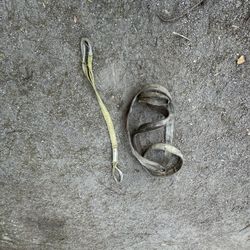 Chokers To Lift Those Heavy Items