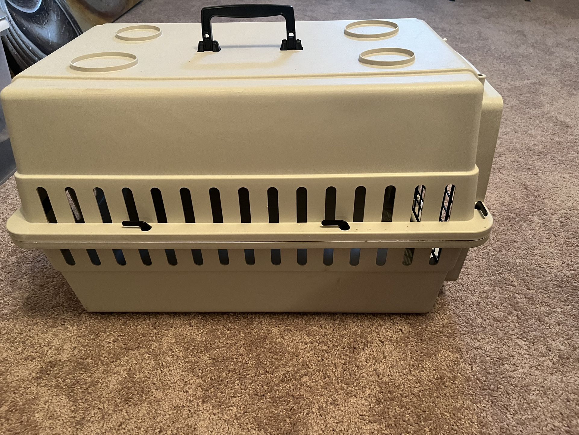 Dogs Cage