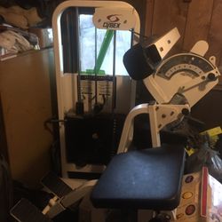 Cybex Back extension