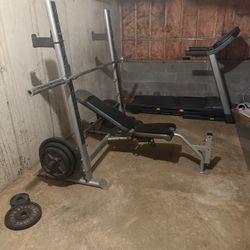 300 Pound Olympic Weight Set And Bench