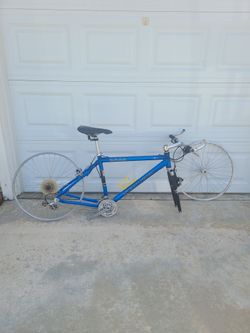 Schwinn MOAB 21 speed mountain bike frame and forks