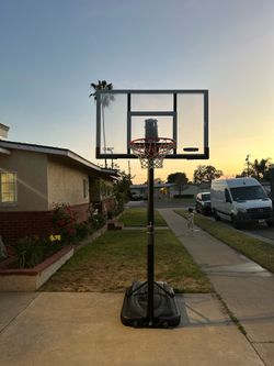 Lifetime basketball hoop