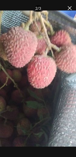 Lychees for sale 7$ a pound