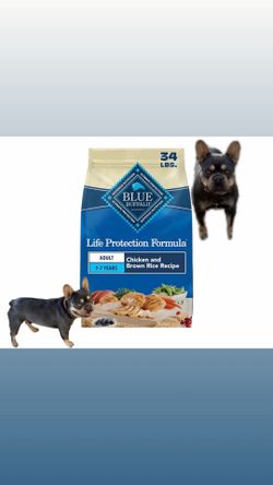 Dog food